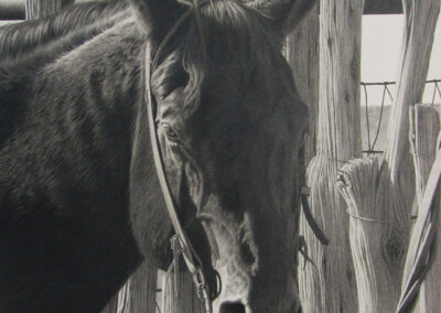 Fuzzy by Brian Asher