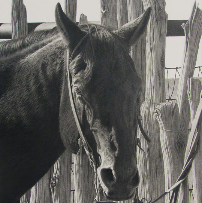 Fuzzy by Brian Asher