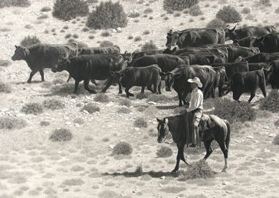Goin’ to Sheep Camp by Brian Asher